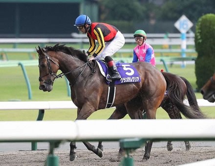 悲報 グランアレグリア 歴代最強マイラー争いから脱落か うまなみ 競馬にゅーす速報