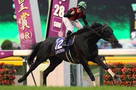 競馬】エイシンフラッシュって凄く良い馬だったよな : ☆うまなみ