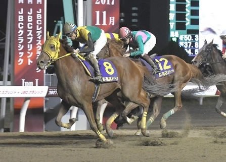 地方競馬 南関東の中古 未使用品 メルカリ