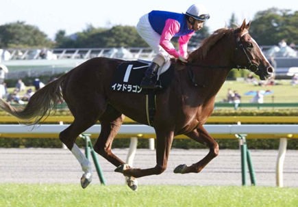 競馬 芝 障害 ダート イケドラゴン っていつまで走るの うまなみ 競馬にゅーす速報 競馬 芝 障害 ダート イケドラゴン っていつまで走るの うまなみ 競馬にゅーす速報