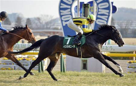 競馬 走るフォームが特徴的な馬 うまなみ 競馬にゅーす速報