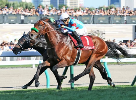 悲報 ブラストワンピース過去最高馬体重で帰厩してしまう うまなみ 競馬にゅーす速報