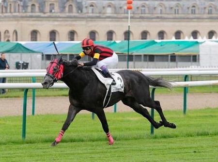 なぜエイシンヒカリは海外g を2勝してるのに国内g は惨敗しまくりだったのか うまなみ 競馬にゅーす速報