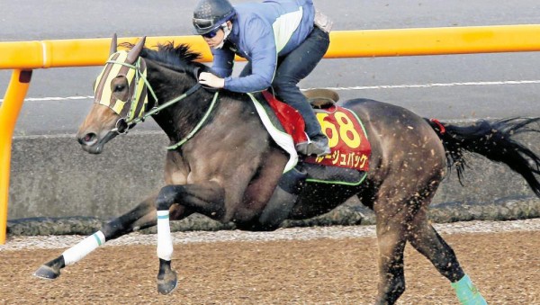 オークス トレセンの人々 ルージュバックに勝たせてはダメ うまなみ 競馬にゅーす速報