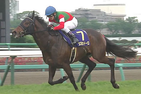 黄金旅程 ステイゴールド 金細工師 オルフェーヴル 黄金時代 エポカドーロ うまなみ 競馬にゅーす速報