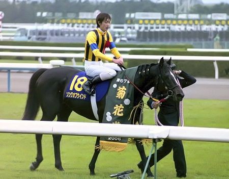 怪物の可能性があった馬 うまなみ 競馬にゅーす速報