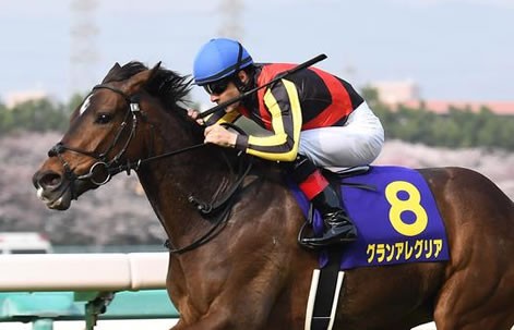 もはや前哨戦の意味が全く無くなった件 うまなみ 競馬にゅーす速報