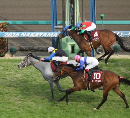 スプリングs マイネルハニー クラシックに登録していなかった うまなみ 競馬にゅーす速報