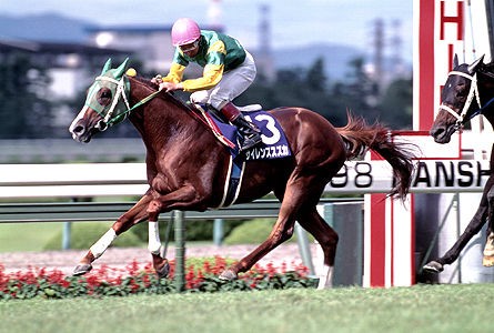 最高にかっこいい競馬のフレーズをあげるスレ うまなみ 競馬にゅーす速報