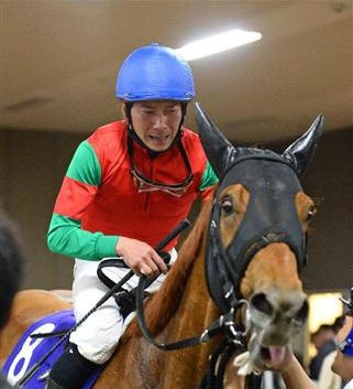 マイネル軍団の空気っぷりが半端ない件 うまなみ 競馬にゅーす速報