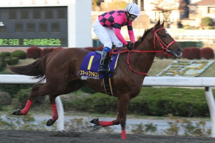 æ²å ± ã¹ãã¼ããã¡ã«ã³ã³å¸«å ãç¤¾å°ããè¿½ãåºããã ãã¾ãªã¿ ç«¶é¦¬ã«ãã¼ãéå ±