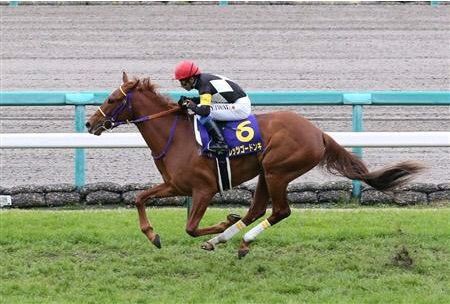 レッツゴードンキ 遂に阪神カップで引退 当日２１日に引退式 うまなみ 競馬にゅーす速報