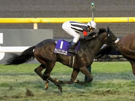 ã‚‚ã—ã‹ã—ã¦ã‚«ãƒ¬ãƒ³ãƒ–ãƒ¼ã‚±ãƒ‰ãƒ¼ãƒ«ã£ã¦å¼·ã„ã®ã§ã¯ ã†ã¾ãªã¿ ç«¶é¦¬ã«ã‚…ãƒ¼ã™é€Ÿå ±