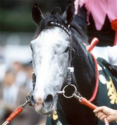 顔がいちばんカッコイイ カワイイのってどの馬 うまなみ 競馬にゅーす速報