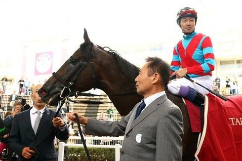産経大阪杯 キズナ 武豊 ダービー馬に負けは似合わない うまなみ 競馬にゅーす速報
