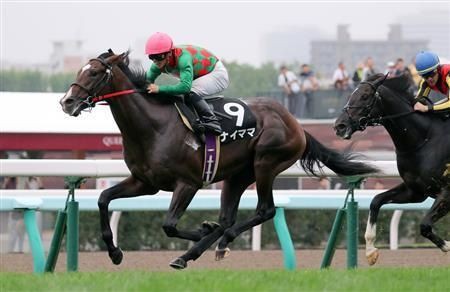 コスモス賞 ナイママ強すぎワロタwwwwwwww うまなみ 競馬にゅーす速報 コスモス賞 ナイママ強すぎワロタwwwwwwww うまなみ 競馬にゅーす速報