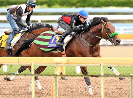 日本ダービー ブラストワンピース馬体重541kgｗｗｗｗ うまなみ 競馬にゅーす速報