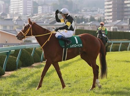 朗報 レッツゴードンキ 6年連続重賞連対を達成 うまなみ 競馬にゅーす速報