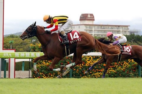 競馬予想 第8回jbcレディスクラシック Jpn1 2018 うまなみ 競馬にゅーす速報