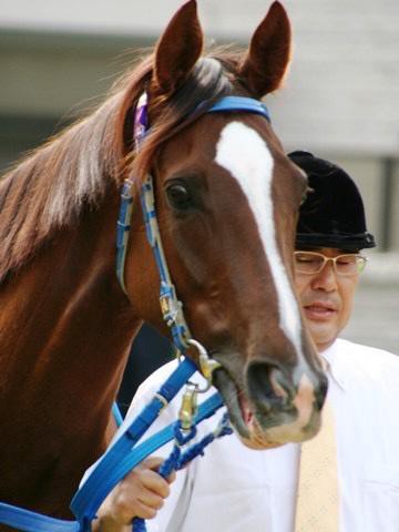 アーモンドアイ ルックスもｎo1な件 うまなみ 競馬にゅーす速報