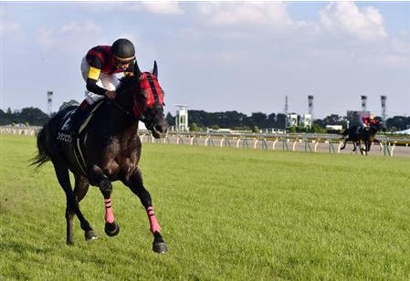 チャレンジc エイシンヒカリ出走 無傷の６連勝なるか うまなみ 競馬にゅーす速報