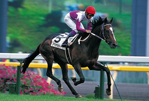 競馬 天皇賞 春秋連覇する馬ってかっこいいよね うまなみ 競馬にゅーす速報