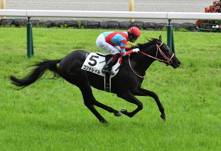 結局ディープインパクトの牡馬って小物しかいなかったよな うまなみ 競馬にゅーす速報