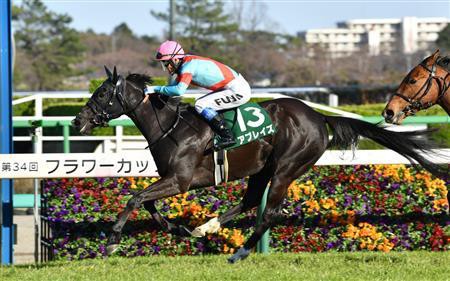 フラワーカップ 波乱 12番人気のアブレイズが無傷2連勝でｖ 人馬共に重賞初制覇 うまなみ 競馬にゅーす速報