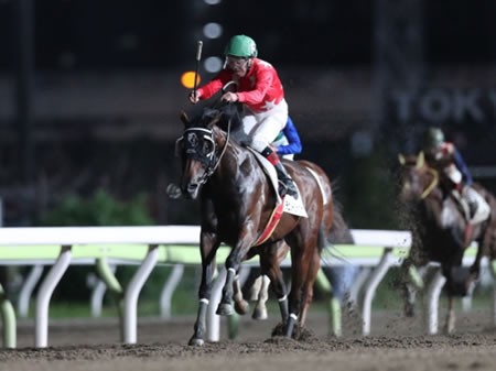 御年65歳の年金受給者 的場文男さん 遂に 東京ダービー 制覇なるか うまなみ 競馬にゅーす速報