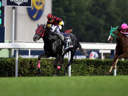 エイシンヒカリ 国内11戦8勝 海外4戦2勝 うまなみ 競馬にゅーす速報