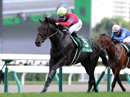 ブラックホールさん 競走能力喪失 うまなみ 競馬にゅーす速報