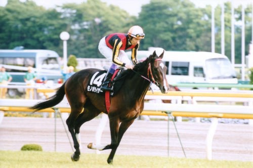 競馬 関係者の吹き名言が集まるスレ うまなみ 競馬にゅーす速報