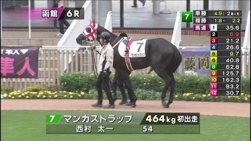 競馬 マンカストラップよりヒドイ名前の馬っていたの うまなみ 競馬にゅーす速報