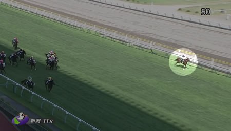 アイビスSD】バカラクイーン菅原wwww : ☆うまなみ・競馬にゅーす速報