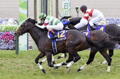 改めてサートゥルナーリアとはなんだったのか うまなみ 競馬にゅーす速報