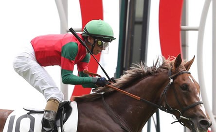 マイネル史上 1番カッコいい馬名 うまなみ 競馬にゅーす速報