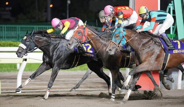 おまえらジャパンダートダービーでいくら負けた うまなみ 競馬にゅーす速報