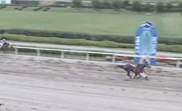 浦和競馬】的場文男 1着ゴールまであと30センチのところで落馬wwwwwww