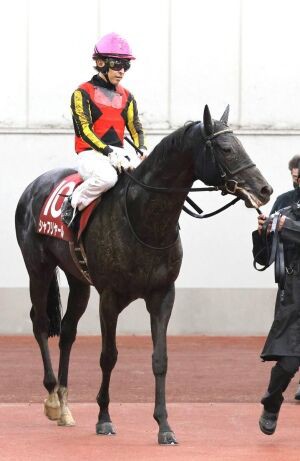 シャフリヤールの神戸新聞杯は福永の騎乗ミスか うまなみ 競馬にゅーす速報