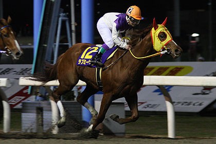 競馬 競走馬の中で1番可愛い名前って何 うまなみ 競馬にゅーす速報