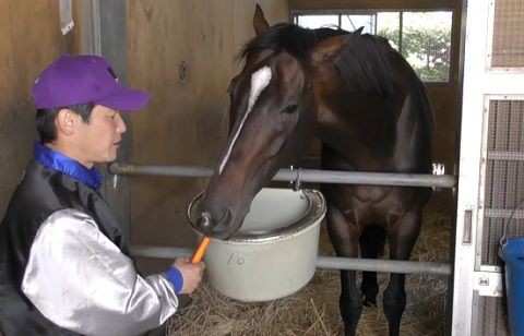 宝塚記念 キタサンブラック ニンジン食べ過ぎワロタｗｗｗｗｗ うまなみ 競馬にゅーす速報