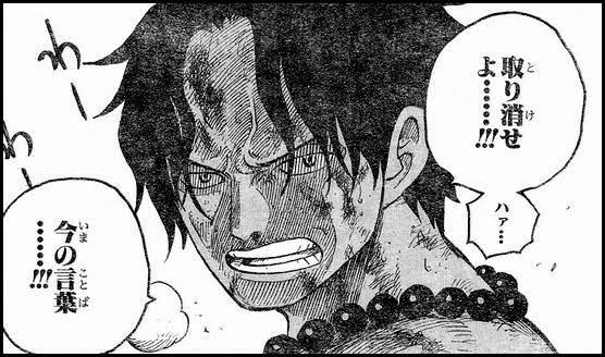 One Pieceのエースの最後って どうなってたら納得したんや ガー速
