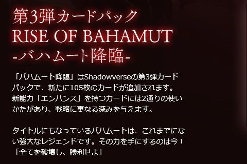 Rise Of Bahamut 特設ページ開設 腹パン情報2 フィーナちゃんと 年目