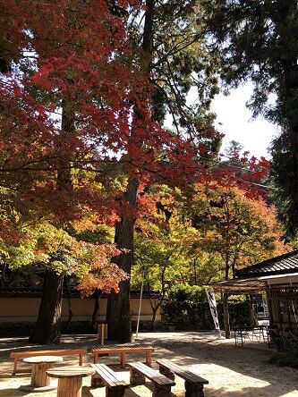 山々が賑やかになってきたね 紅葉狩りに行って来たよ 佛通寺 三景園 あっちこっち ここdeランチ