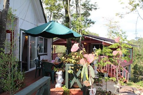 森の中におとぎの国 めるへん工房森の花屋さん あっちこっち ここdeランチ