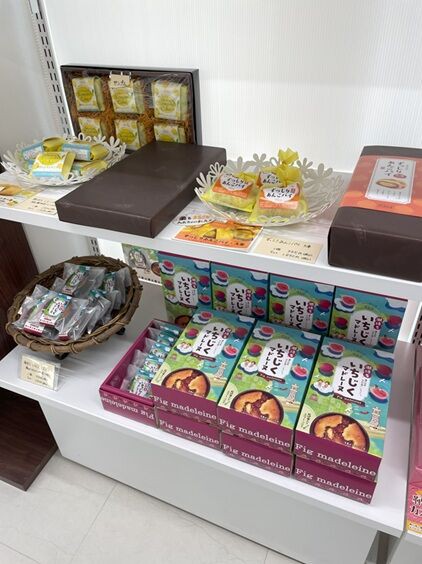 手土産にもピッタリ！手作りお菓子工房の夏のデザート！「松浦本店