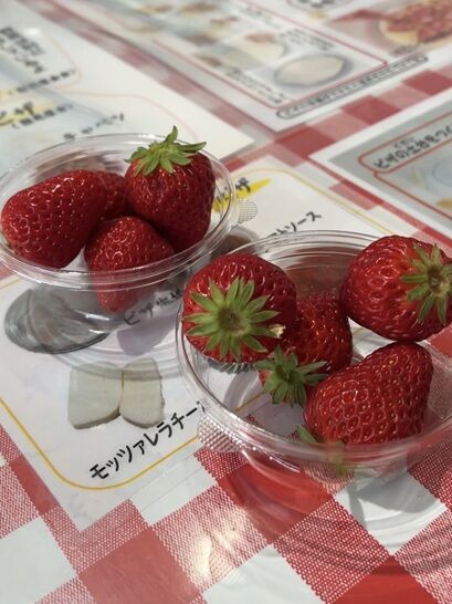 まだまだ楽しめるいちご狩り＆絶品ピザ作り＆美味しいものいろいろ「農