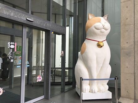 今は展覧会も喫茶もぜ んぶ猫まみれだよ 尾道市立美術館 あっちこっち ここdeランチ