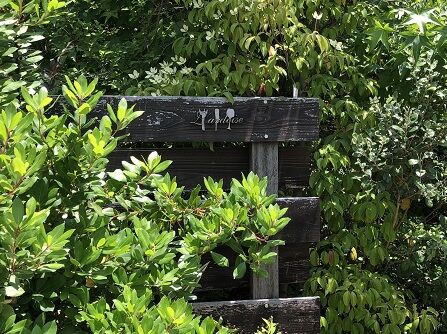 本格フレンチ堪能後は 6月17日オープンのお店のチーズケーキも一足先に頂きました ラルドワーズ Vache ヴァッシュ あっちこっち ここdeランチ