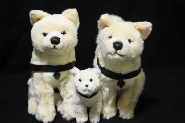 レビュー】国立科学博物館オリジナル 秋田犬ハチ : 百獣夜行見聞録